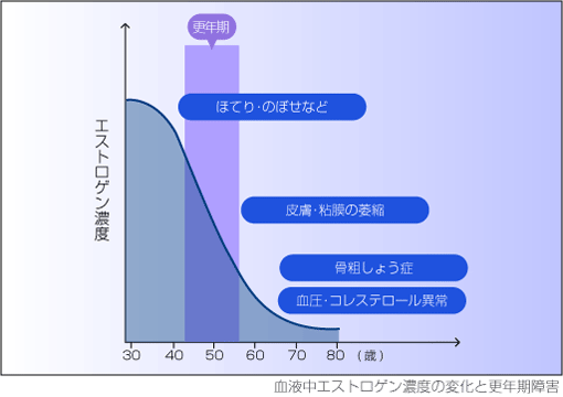 血中エストロゲン濃度の変化と更年期