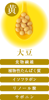 黄は大豆、食物繊維・植物性たんぱく質・イソフラボン・リノール酸・サポニン
