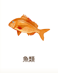 魚類