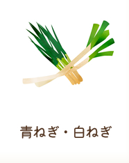 青ねぎ・白ねぎ
