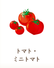 トマト・ミニトマト
