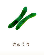 きゅうり