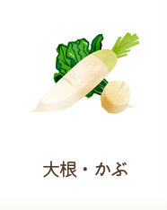 大根・かぶ