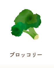 ブロッコリー
