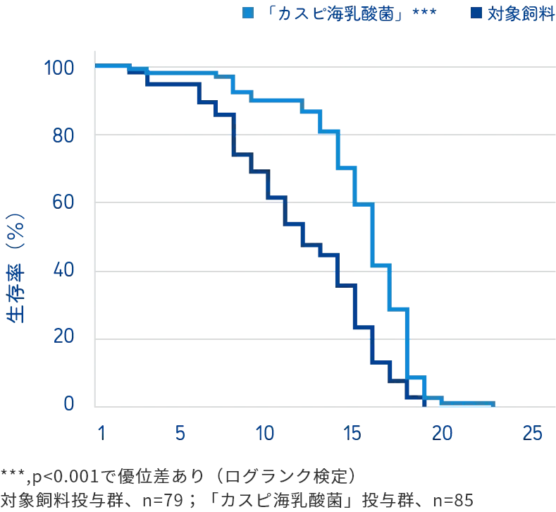 「カスピ海乳酸菌」による線虫の寿命延長作用のグラフ