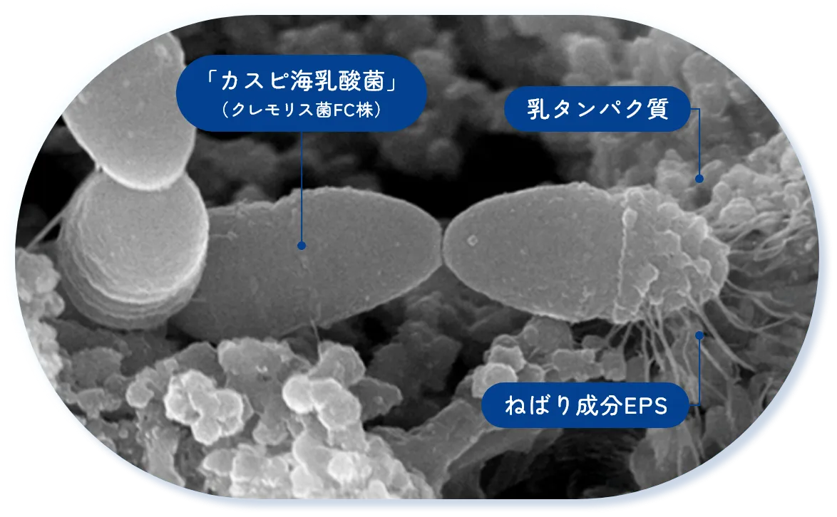 02 特徴2のイメージ画像
