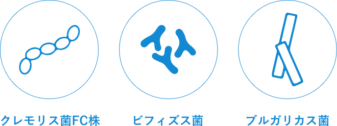 クレモリス菌FC株 ビフィズス菌 ブルガリカス菌