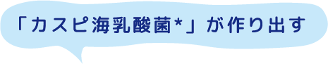 「カスピ海乳酸菌*」が作り出す