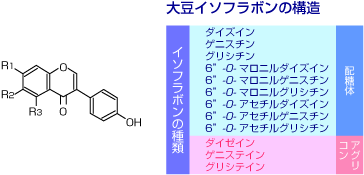 配糖体とアグリコン