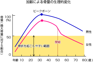 加齢による骨量の生理的変化