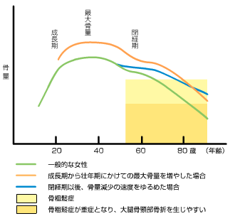 イソフラボンとエストロゲンの類似