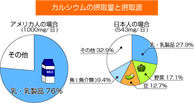 日本人とアメリカ人のカルシウム摂取量と摂取源