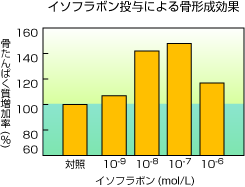 イソフラボン投与による骨形成効果