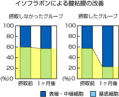 イソフラボンによる膣粘膜の改善