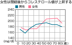 女性は閉経後からコレステロール値が上昇する