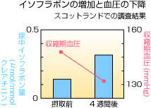 イソフラボン増加と血圧の下降