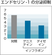 エンドセリン-１の分泌抑制