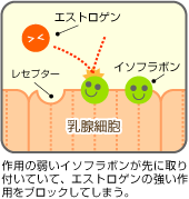 レセプターブロック仮説の概念