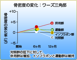 骨密度の変化グラフ