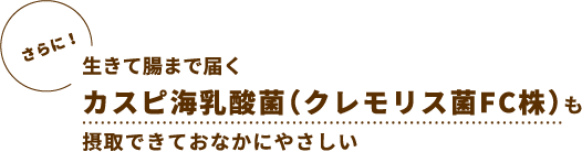 ヨーグルトだから乳酸菌も摂取できて腸内環境も整う！