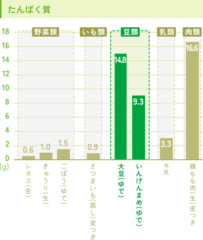 野菜類・いも類・豆類・乳類・肉類のたんぱく質含有量のグラフ