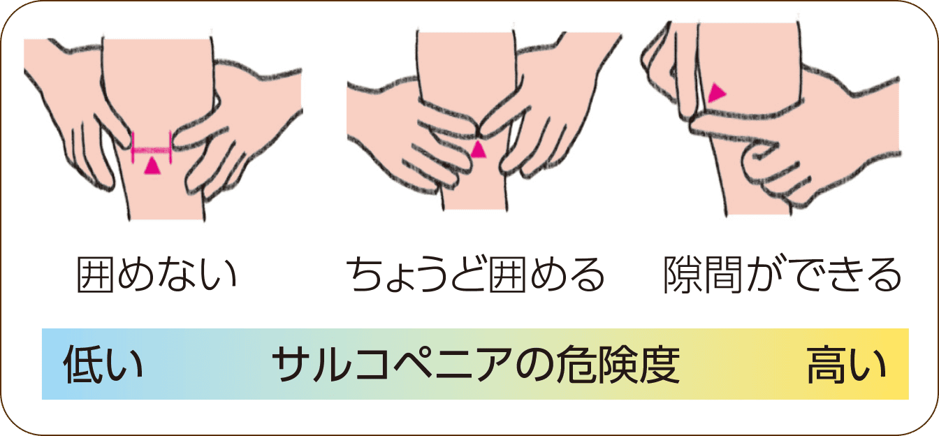 筋肉量の低下の自己チェック法