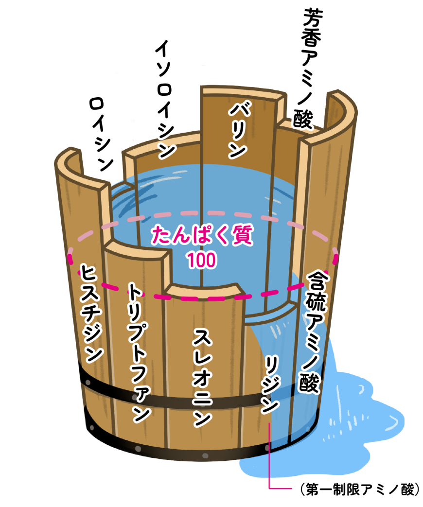 不足している必須アミノ酸