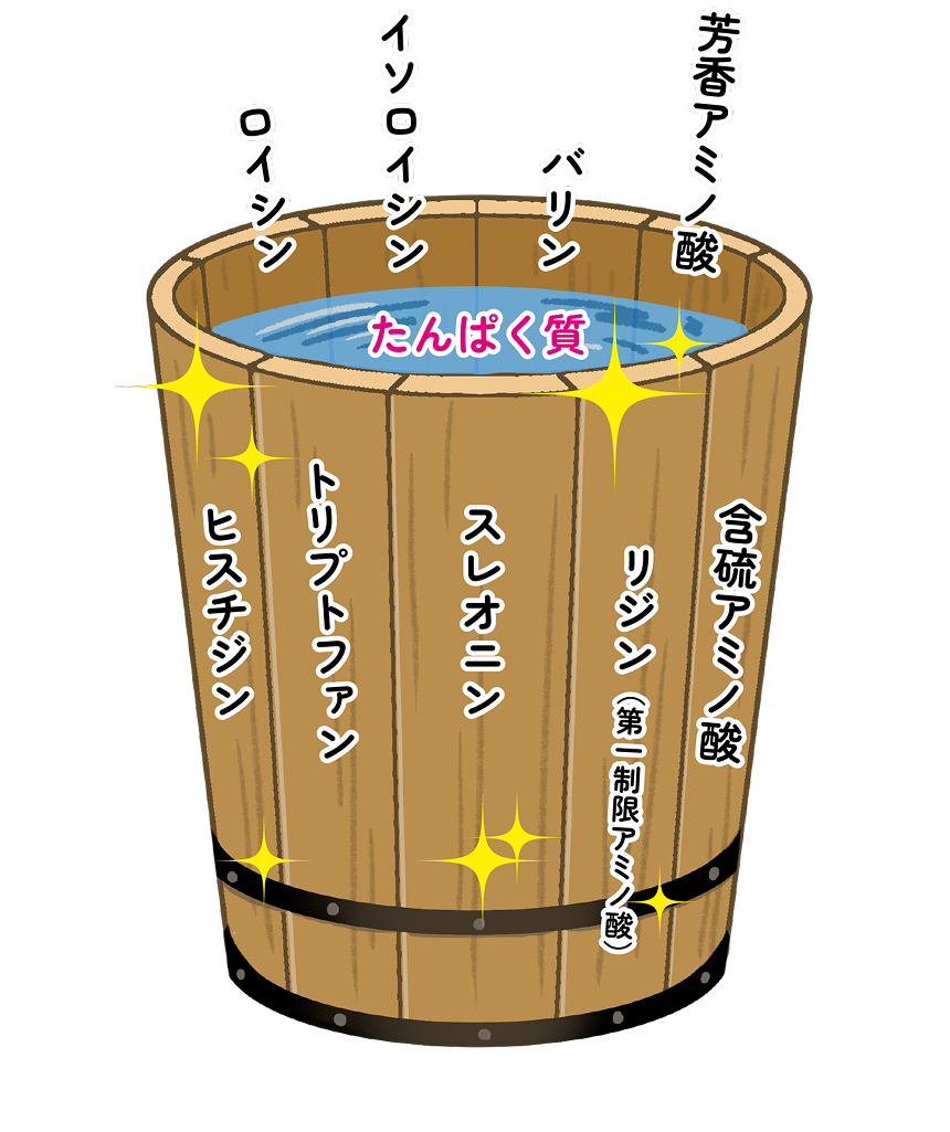 アミノ酸スコア100が大事！