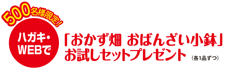 1000名様にお試しセットプレゼント！