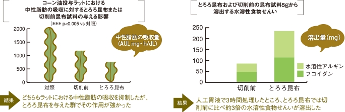 コーン油投与ラットにおける中性脂肪の吸収に対するとろろ昆布または切削前昆布試料の与える影響、とろろ昆布および切削前の昆布試料5gから溶出する水溶性食物せんい