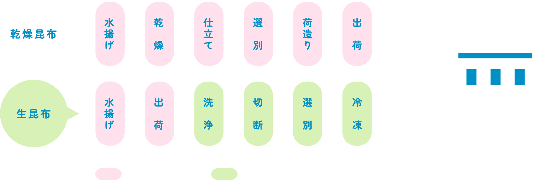 昆布の加工の流れ