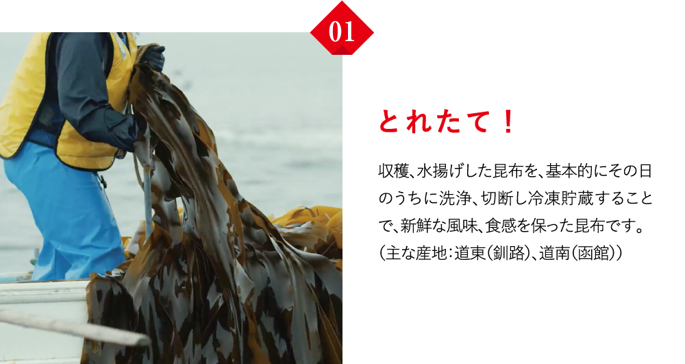 とれたて！　収穫、水揚げした昆布を、基本的にその日のうちに洗浄、切断し冷凍貯蔵することで、新鮮な風味、食感を保った昆布です。（主な産地：道東（釧路）、道南（函館））