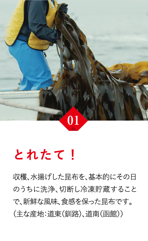 とれたて！　収穫、水揚げした昆布を、基本的にその日のうちに洗浄、切断し冷凍貯蔵することで、新鮮な風味、食感を保った昆布です。（主な産地：道東（釧路）、道南（函館））