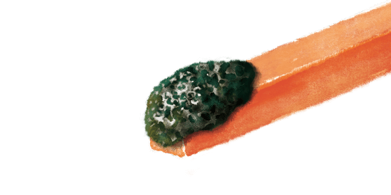 プレーン