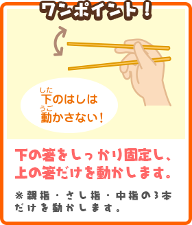 ワンポイント　下の箸をしっかり固定し、上の箸だけを動かします。※親指・さし指・中指の3本だけを動かします。