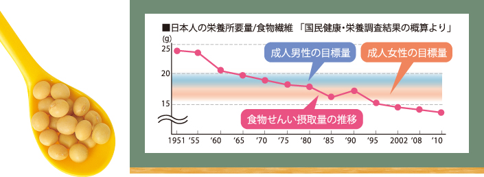 日本人の栄養所要量/食物繊維「国民栄養調査」
