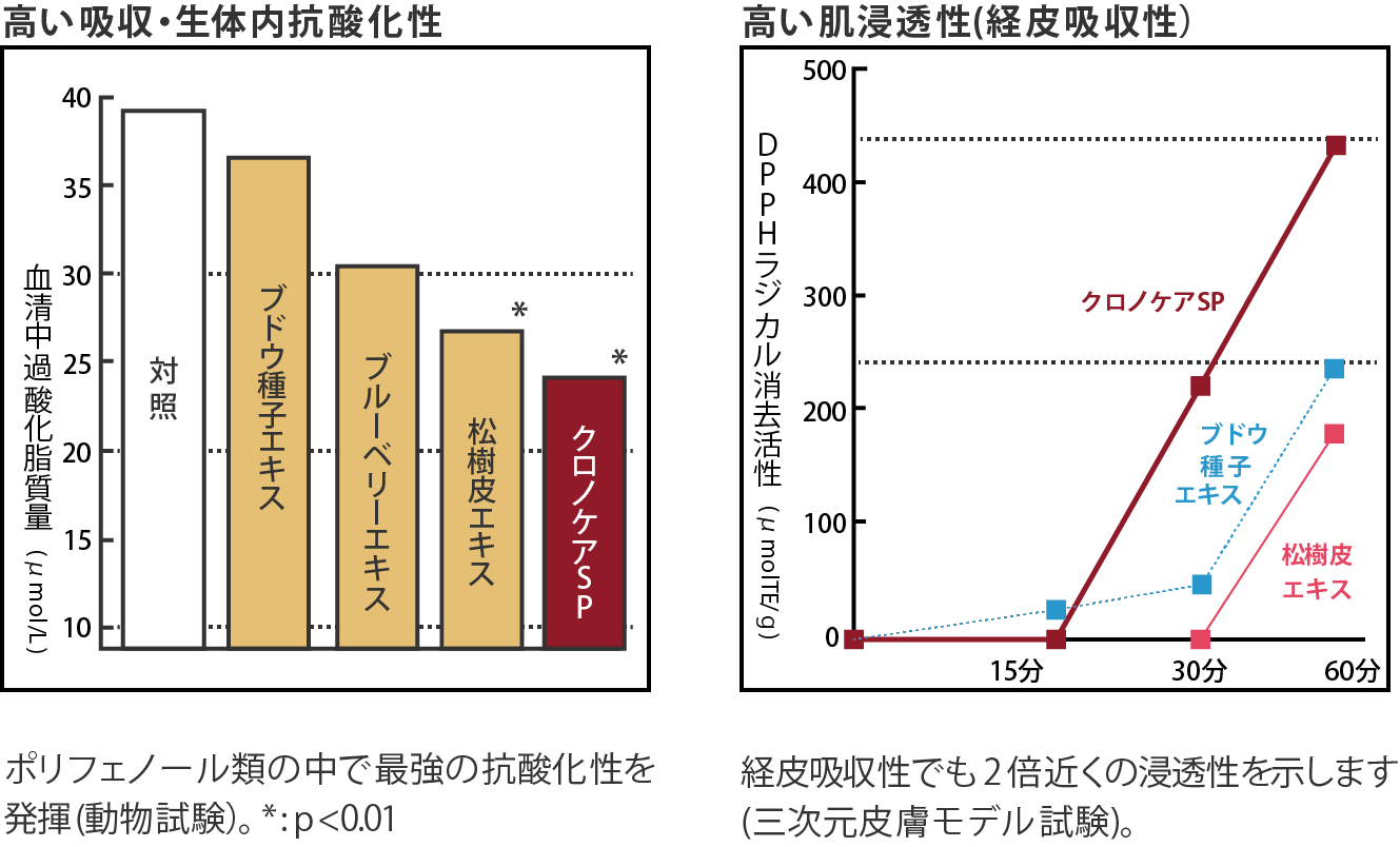 高い吸収・生体内抗酸化性　高い肌浸透性（経皮吸収性）