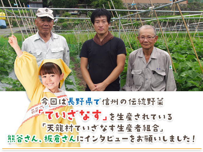 今回は長野県で「ていざなす」を生産されている「天龍村ていざなす生産者組合」を代表して熊谷さん、板倉さんにインタビューをお願いしました！