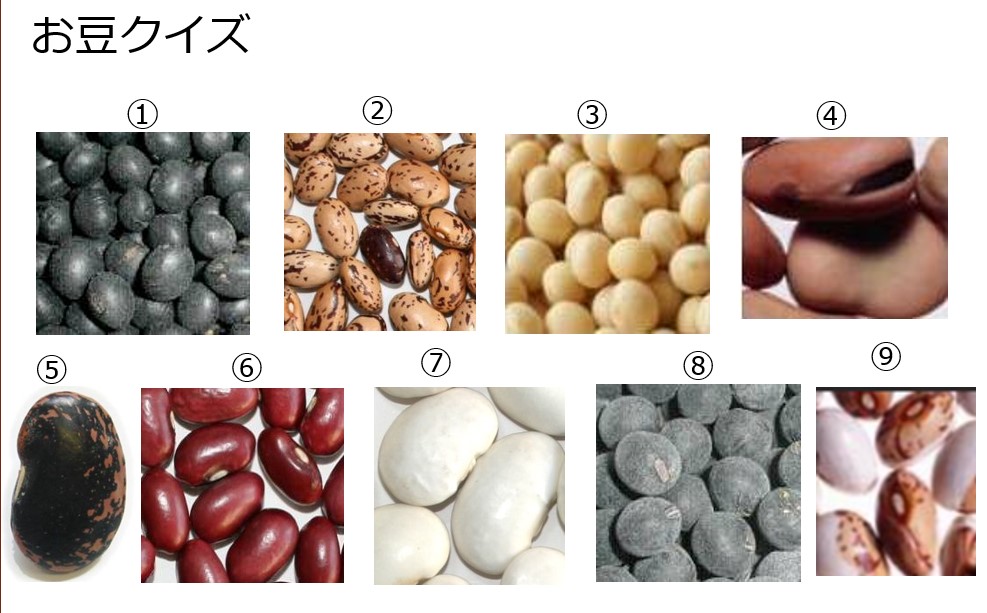 お豆のクイズ.jpg